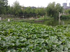 -前关湿地公园
