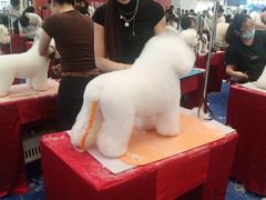 -深圳龙华星河COCO City(民治店)