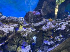 -横店影视城梦幻谷园区