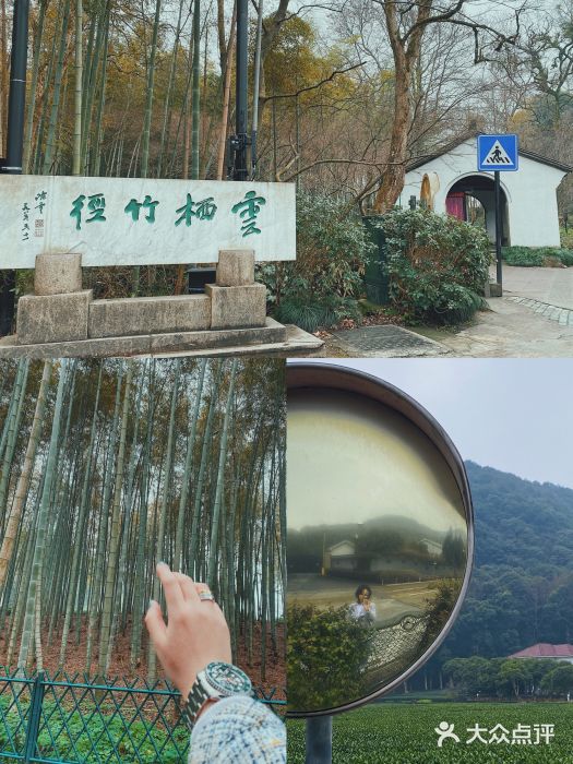 云栖竹径图片
