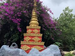 -瑞丽独树成林风景区