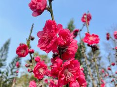 -桃花涧