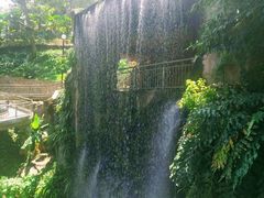 -吉隆坡雀鸟公园