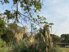 -后襄河公园