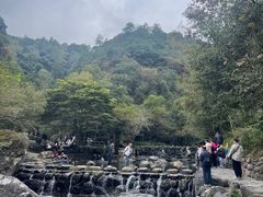 -石台牯牛降景区