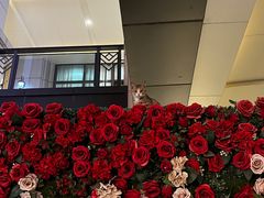 -KAOTOWN烤堂•烧烤(海汇港店)