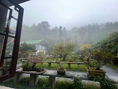 -庐山风景区花径公园