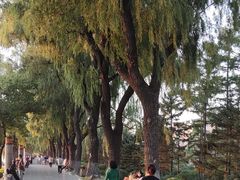 -长春市南湖公园