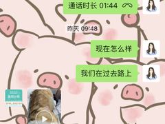 -安安宠医宠物医院·异宠·犬猫内科(岳阳分院)