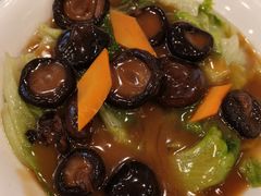 冬菇扒菜胆-海宝酒家(中山四路店)