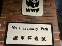-山顶缆车
