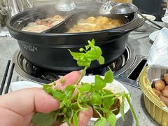 -黔府豆米火锅野菜馆(南马店)