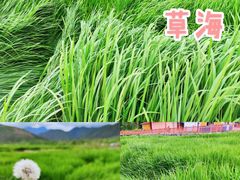 -丽江泸沽湖景区