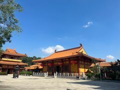 -三水森林公园