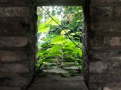 -紫颐香薰山谷景区