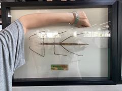 -鄂尔多斯野生动物园