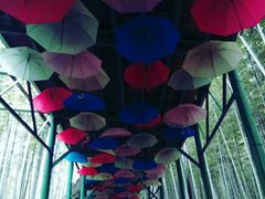 -陶祖圣境风景区