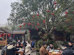 -青城甲(青城山店)