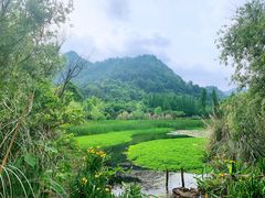 -贵阳市花溪国家城市湿地公园