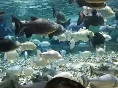 -成都浩海立方海洋公园