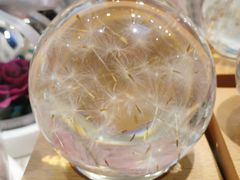 -谷莠子花艺·气球派对·绿植造景·花艺沙龙(金光华广场店)