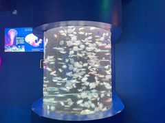 -太平洋海底世界