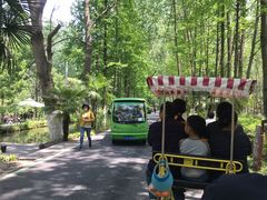 -合肥滨湖国家森林公园