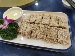 -金龙寨(龙城路店)