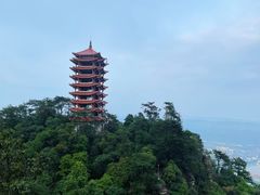 -缙云山景区