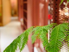 -二酉书店TOYOU BOOKS