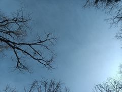 -帽儿山国家森林公园