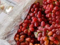 -深圳市海吉星国际农产品物流管理有限公司