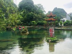 -靖西鹅泉风景区