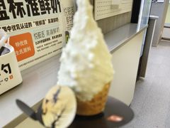 -野人先生现做冰淇淋(北京悠唐购物中心店)