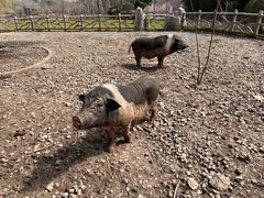 -昆山城市生态森林公园