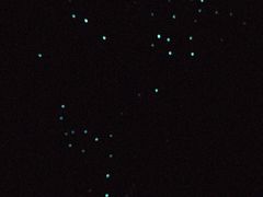 -怀托摩萤火虫洞