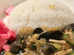 -阳阳中国饭(龙湖大兴天街)