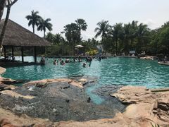 -三亚珠江南田温泉度假区