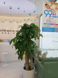 -妈妈时光机医疗产后修复(南山茂业百货店)