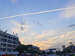 -深圳仙湖植物园
