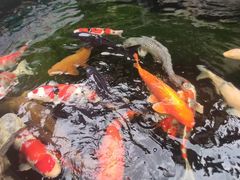 -仙岳公园