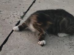 -烟台南站
