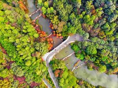 -云溪植物园