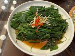 爽口丝瓜尖-烤肉季饭庄