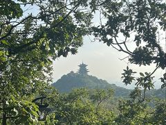 -杭州半山国家森林公园