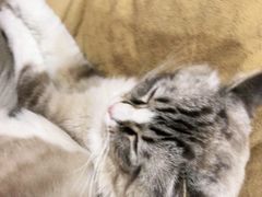 -白兔子密室(长寿路店)