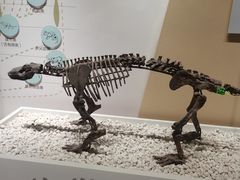 -国家自然博物馆