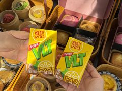 -广州都市观光巴士(粤陶巴)