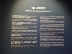 -凤凰中心