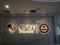 -爱月宝月嫂·育儿嫂